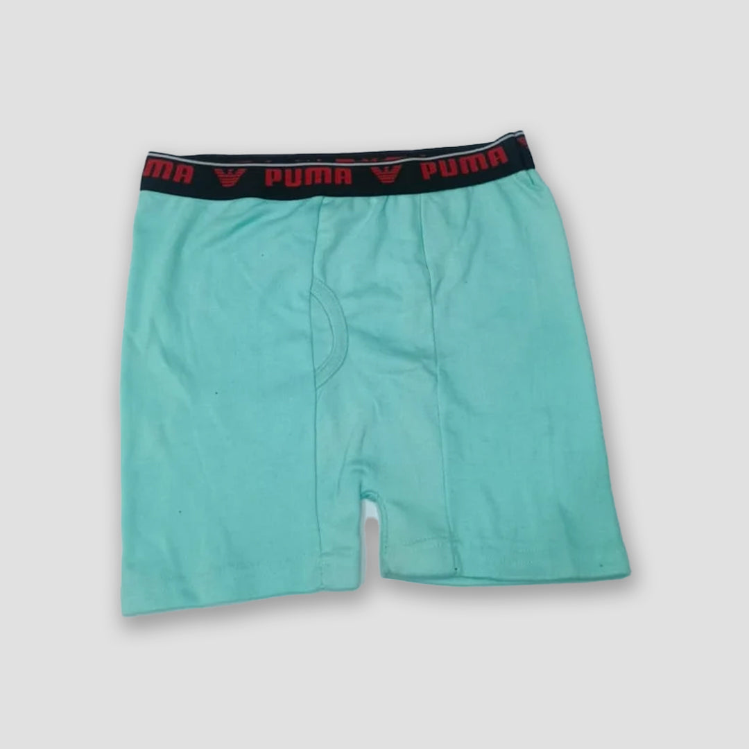 Pack of 5 men underwear cotton fabric nikker