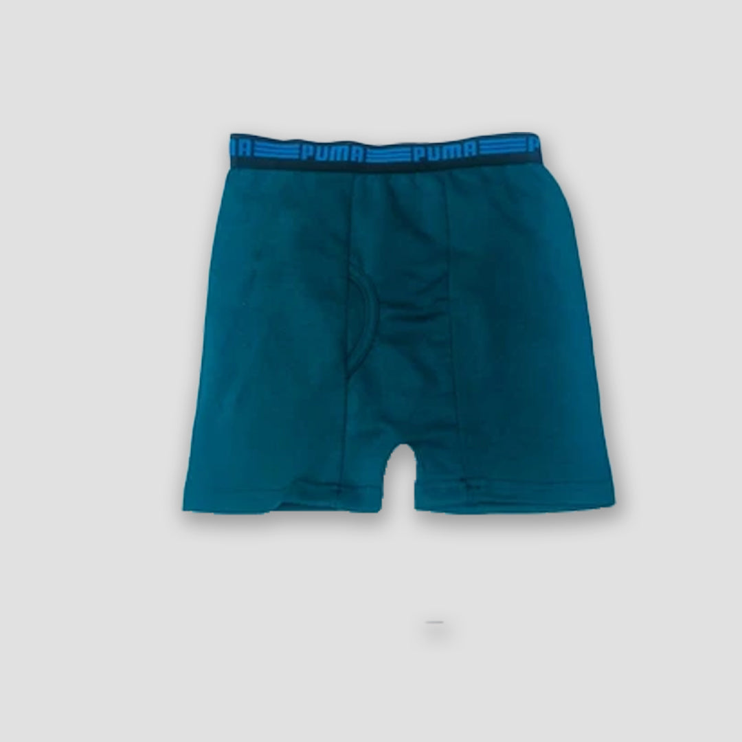 Pack of 5 men underwear cotton fabric nikker