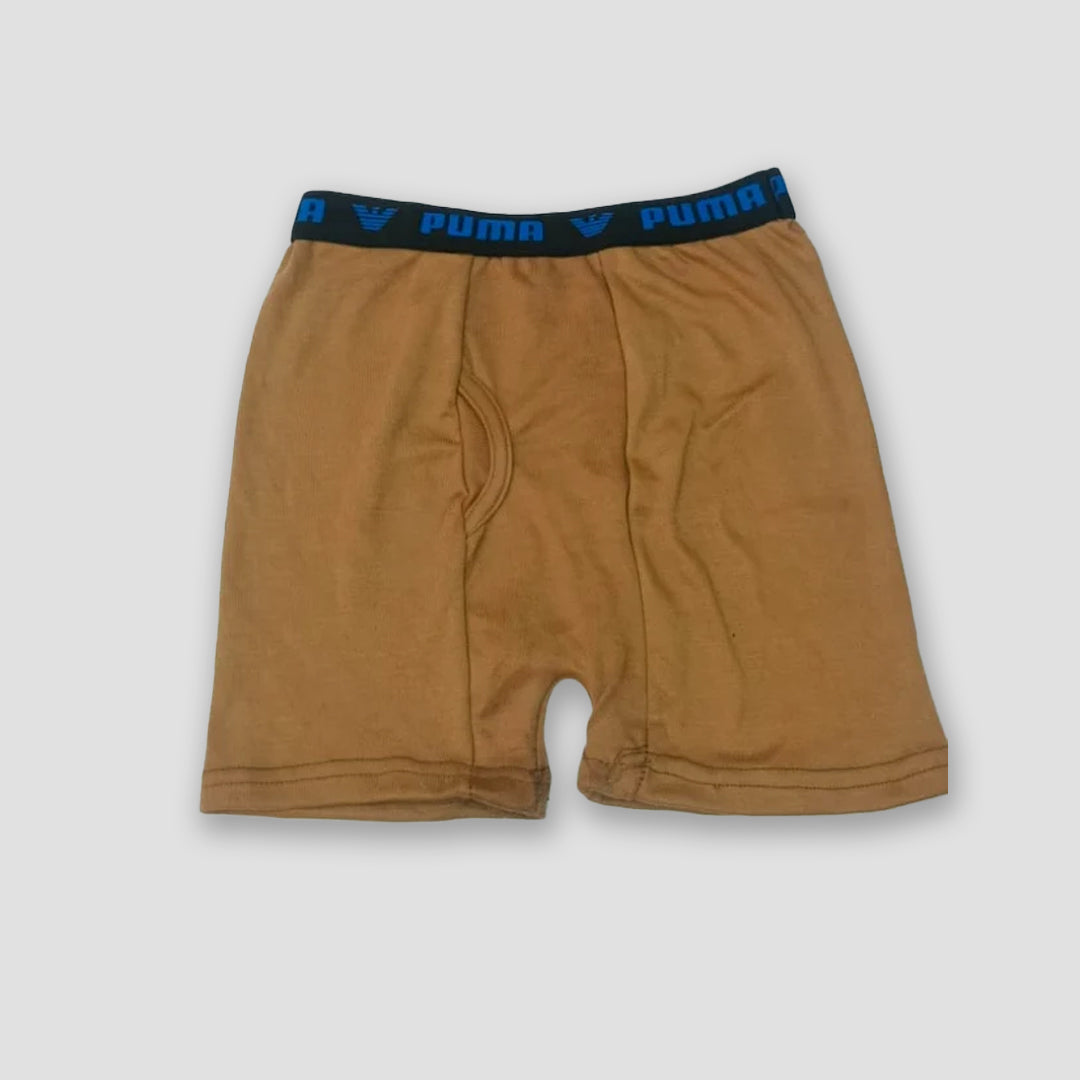 Pack of 5 men underwear cotton fabric nikker