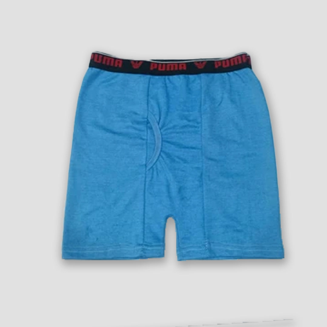 Pack of 5 men underwear cotton fabric nikker